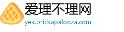 爱理不理网